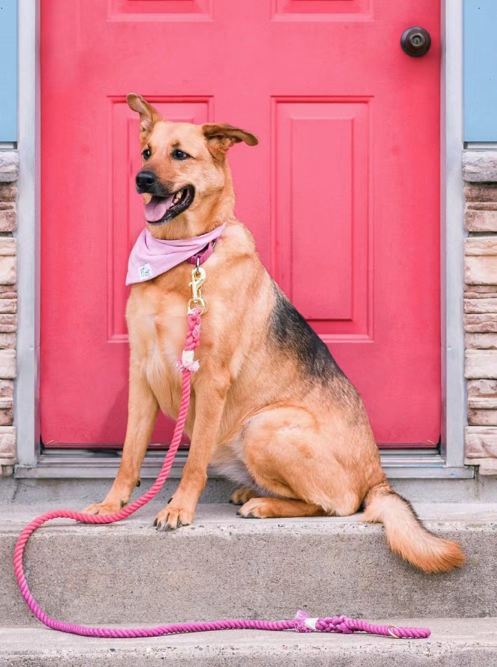 Pawlio Regnbue Reb-Hundesnor i Bomuld