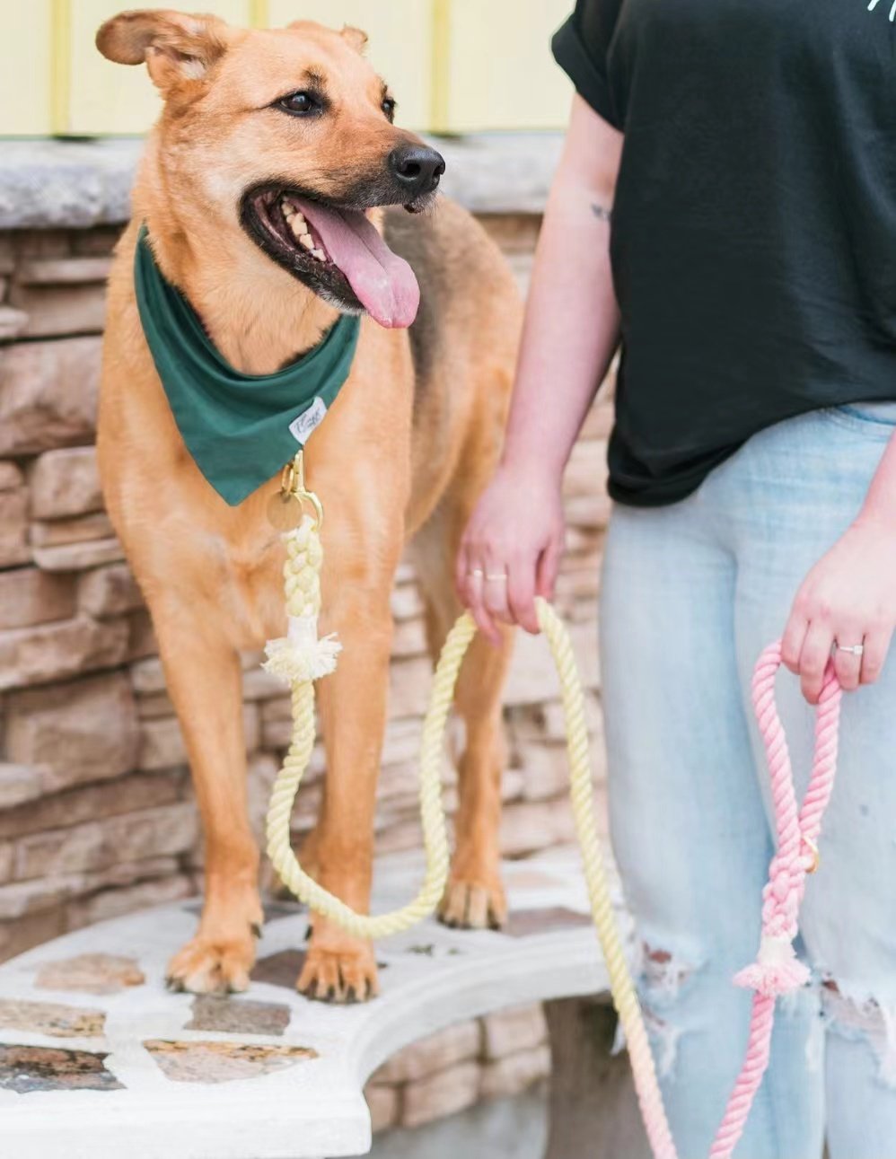 Pawlio Grøn Reb-Hundesnor i Bomuld