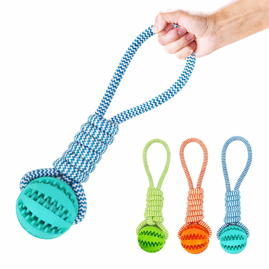 Pawlio Aktivitets- og Tandpleje Bold med Reb