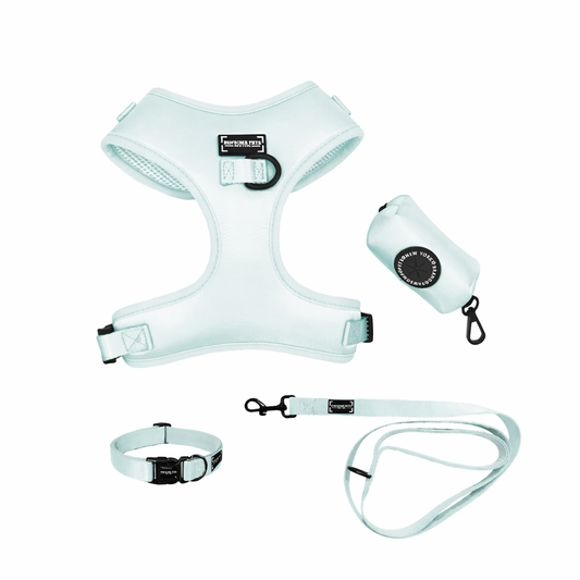 Pawlio Eksklusivt Gåturssæt til Hunde