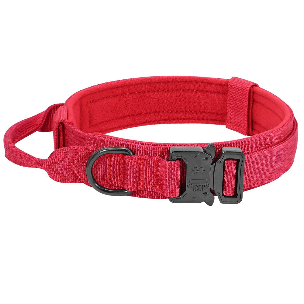Pawlio Premium Halsbånd og Hundesnor