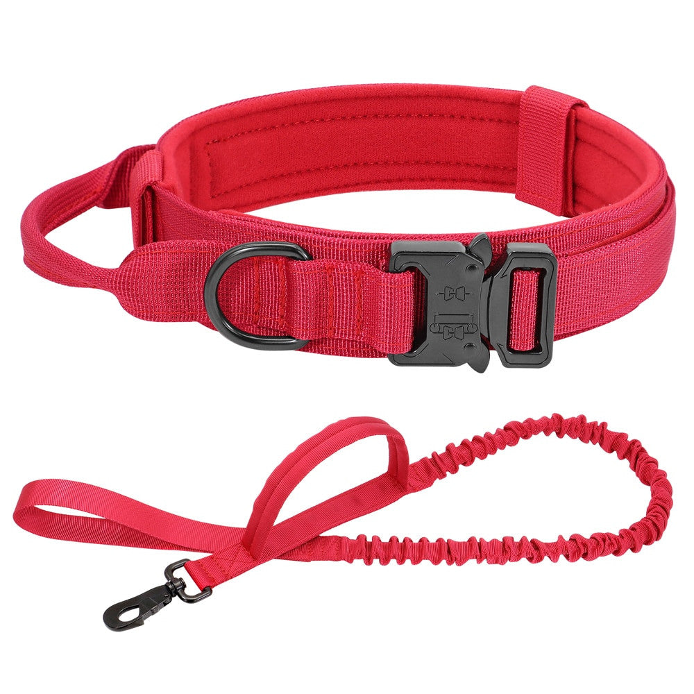 Pawlio Premium Halsbånd og Hundesnor